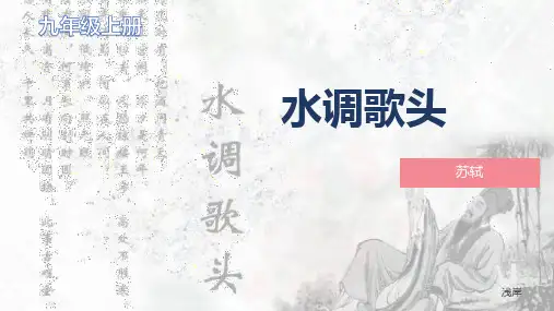 第14课《诗词三首——水调歌头》课件(共25张PPT)统编版语文九年级上册