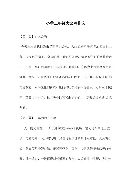 小学二年级大公鸡作文