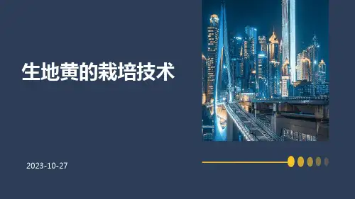 生地黄的栽培技术
