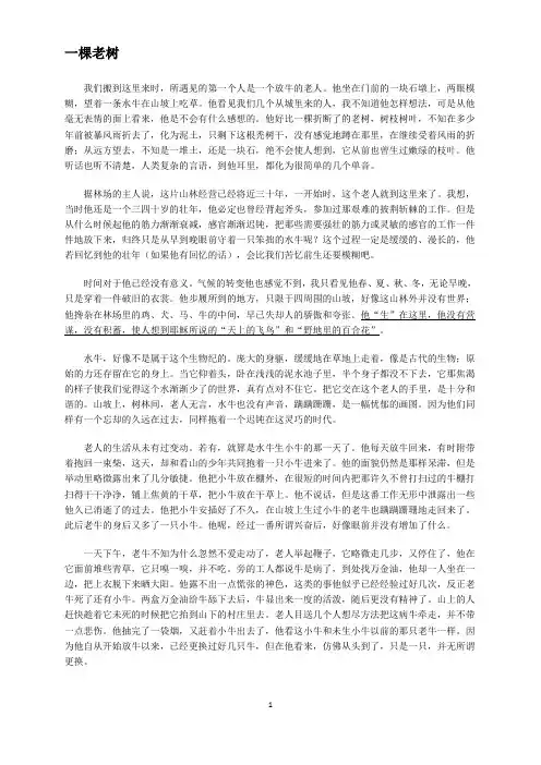 一棵老树 学案