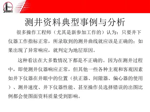 测井资料典型案例分析