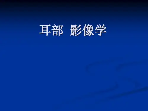 耳部影像