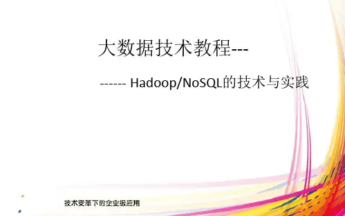 大数据的技术与实践课件(PDF 125页)