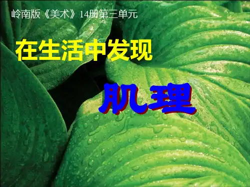 岭南社七年级下册美术课件 6.肌理和应用  (共41张PPT)