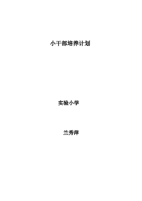 小干部培养计划