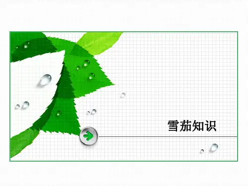 雪茄培训,雪茄知识学习