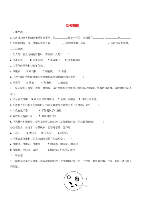 七年级生物上册 2.1.3 动物细胞双基双测 (新版)新人教版