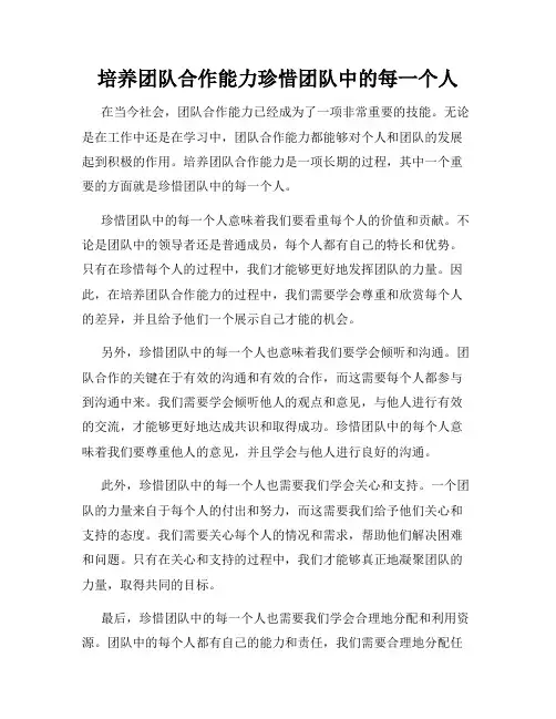 培养团队合作能力珍惜团队中的每一个人