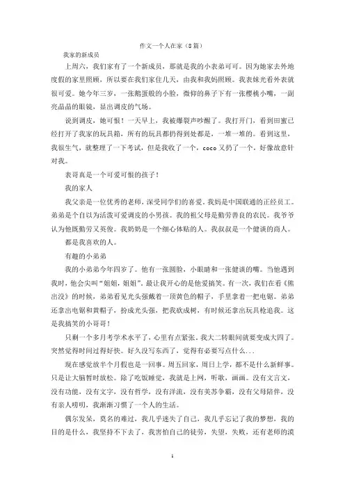 作文一个人在家(8篇)