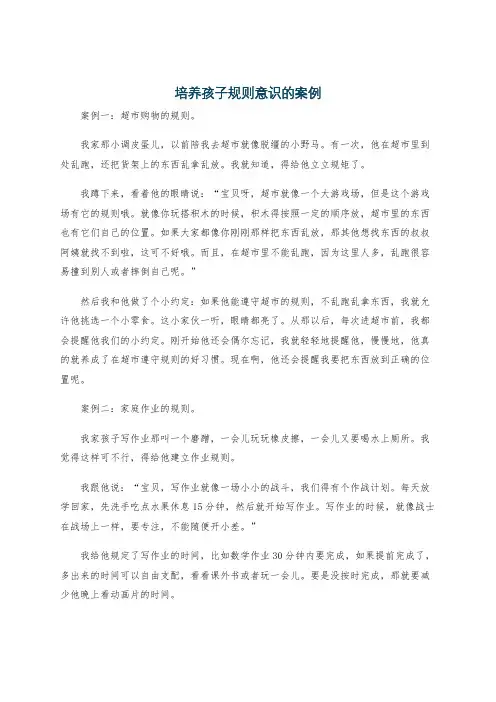 培养孩子规则意识的案例