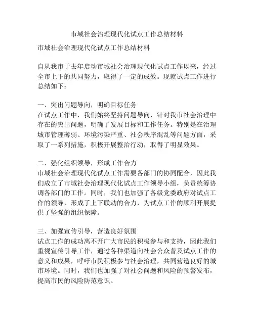 市域社会治理现代化试点工作总结材料