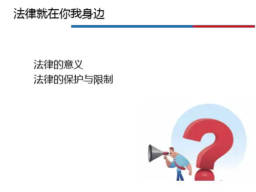 大学生知法懂法课件