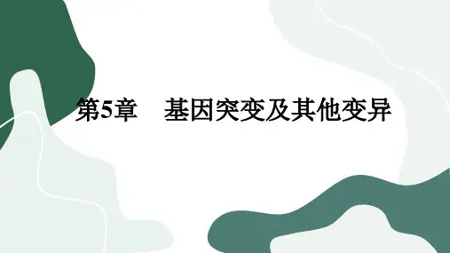人教版生物学必修第二册5-3《人类遗传病》课件PPT