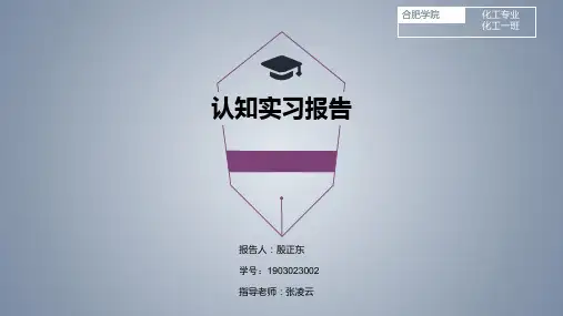 认知实习报告ppt模板