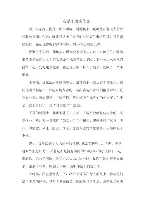 我是小雨滴作文