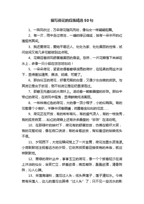 描写荷花的段落精选50句