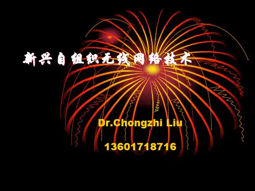 新兴自组织无线网络技术(AdHoc无线网络)