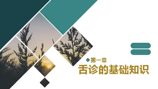 舌诊的基础知识