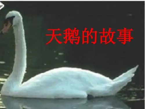 天鹅的故事MicrosoftPowerPoint演示文稿
