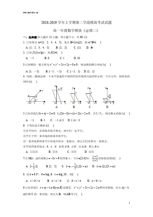 云南师大附中2018-2019学年上学期期末考试高一数学《必修二》及答案