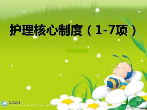 护士核心制度培训PPT课件