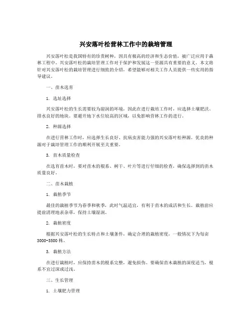 兴安落叶松营林工作中的栽培管理