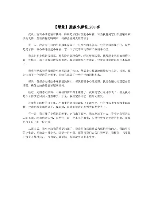 【想象】拯救小麻雀_900字