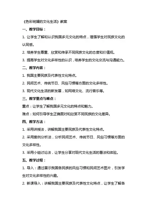 《色彩斑斓的文化生活》教案