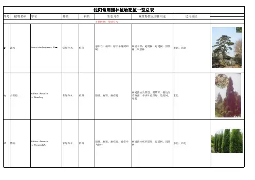 沈阳常用园林植物配植一览总表