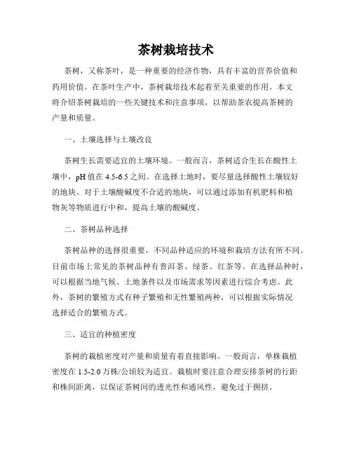 茶树栽培技术