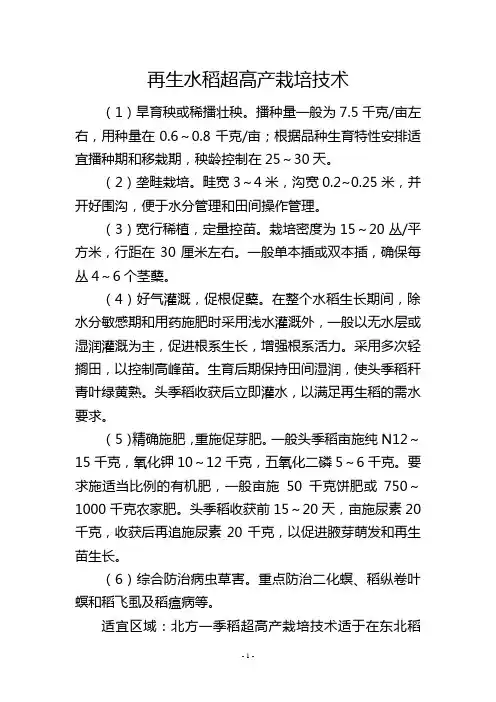再生水稻超高产栽培技术
