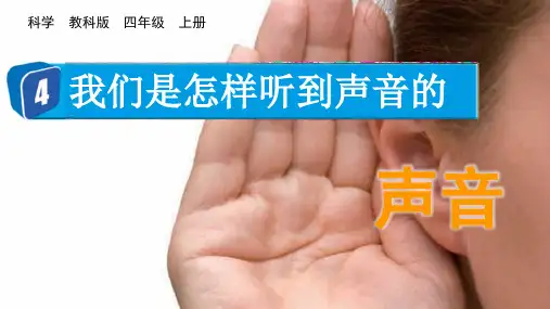 小学科学课件：我们是怎样听到声音的