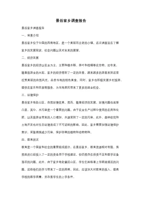 景谷家乡调查报告