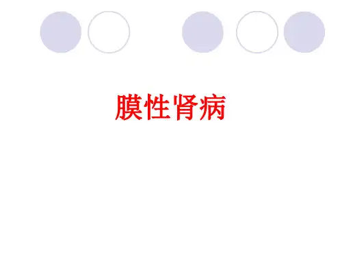 [课件]膜性肾病PPT