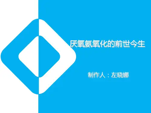 厌氧氨氧化