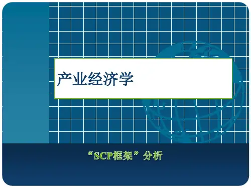 产业经济学SCP分析