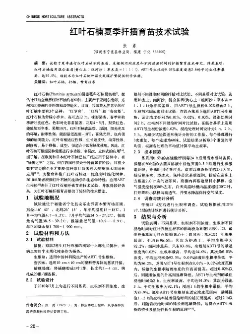 红叶石楠夏季扦插育苗技术试验