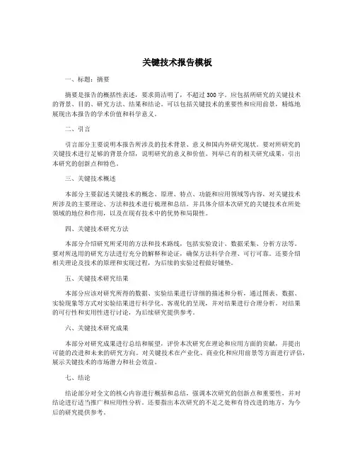 关键技术报告模板