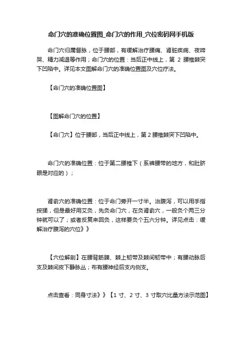 命门穴的准确位置图_命门穴的作用_穴位密码网手机版