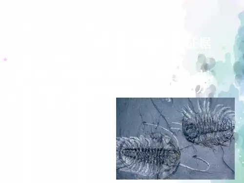 北师大版-生物-八年级下册- 7.21.2生物的进化 课件