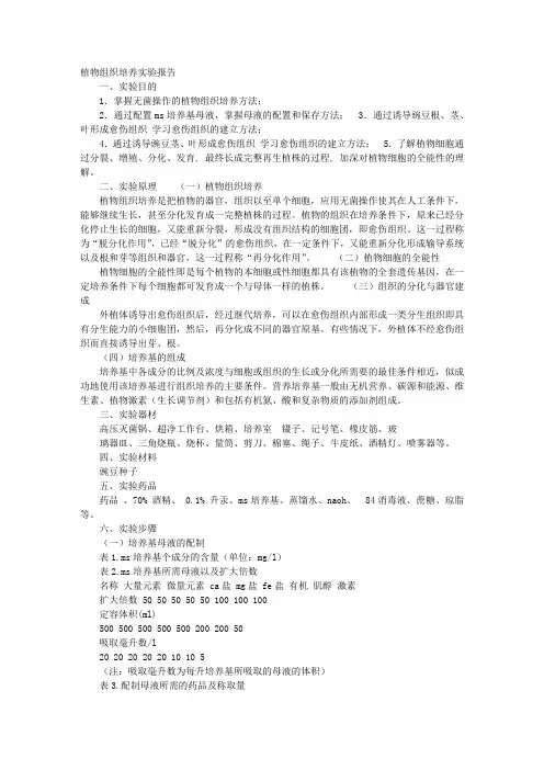 组织培养实验报告