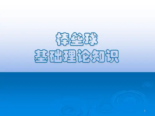 棒垒球教材