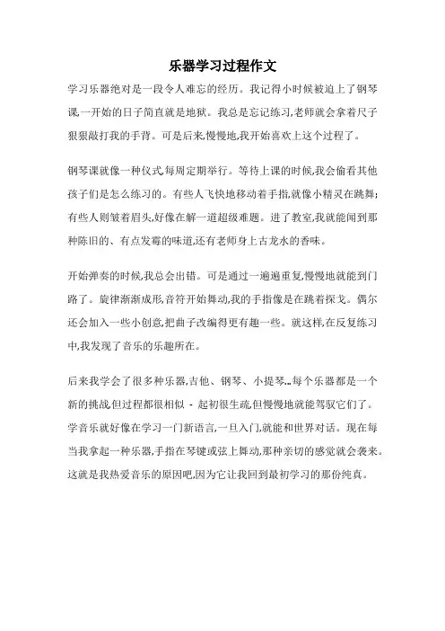 乐器学习过程作文