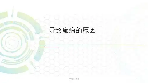 导致癫痫的原因课件