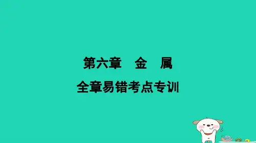 陕西省2024九年级化学下册第六章金属全章易错考点专训课件科粤版