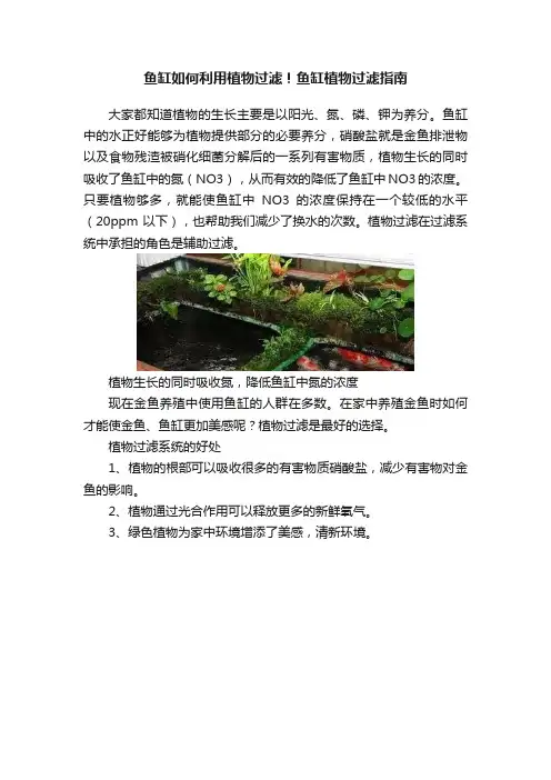 鱼缸如何利用植物过滤！鱼缸植物过滤指南
