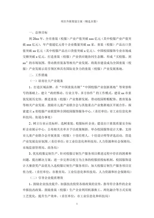 项目升级策划方案