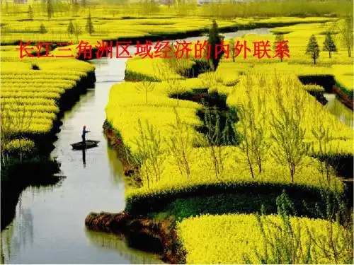《第四节 长江三角洲区域的内外联系》课件1
