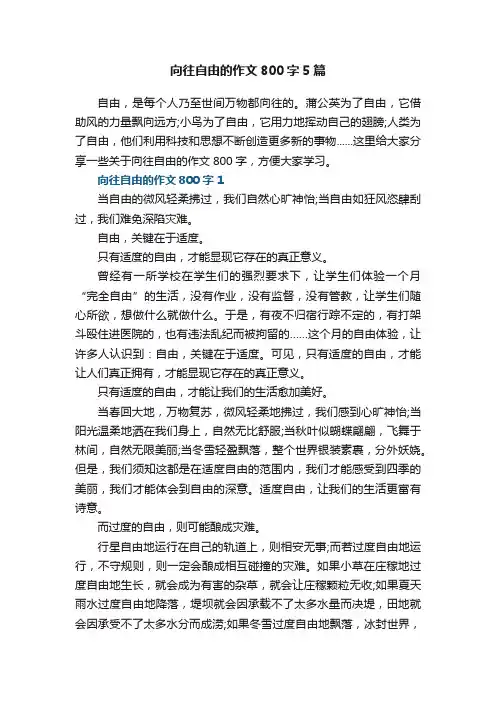 向往自由的作文800字5篇