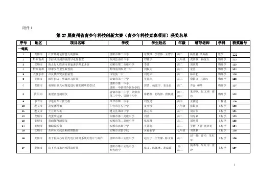 青少年创新成果奖
